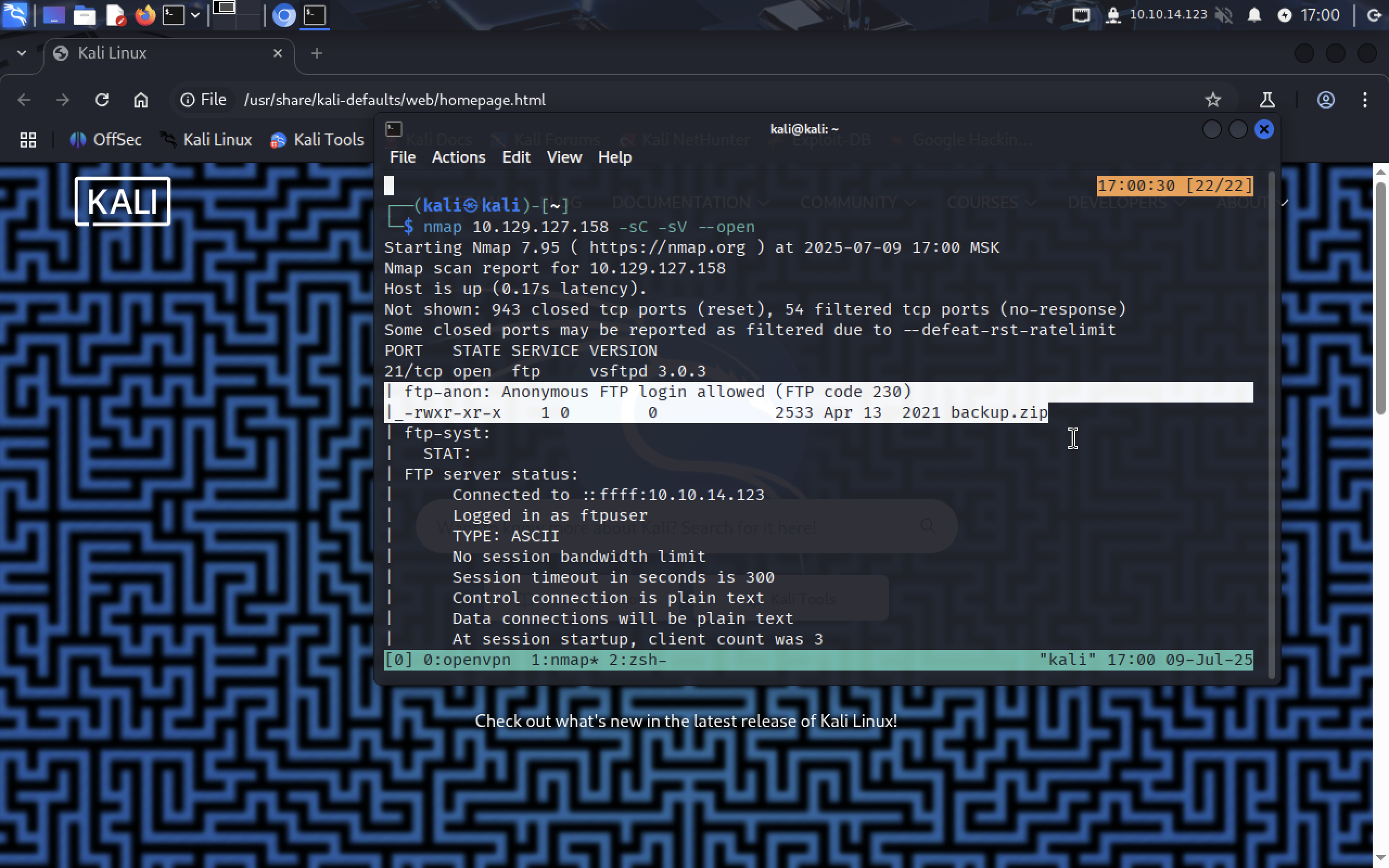 backup.zip on FTP server